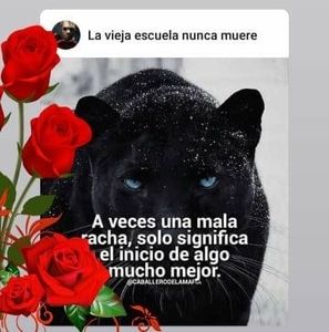 Meet your Posher, Eva